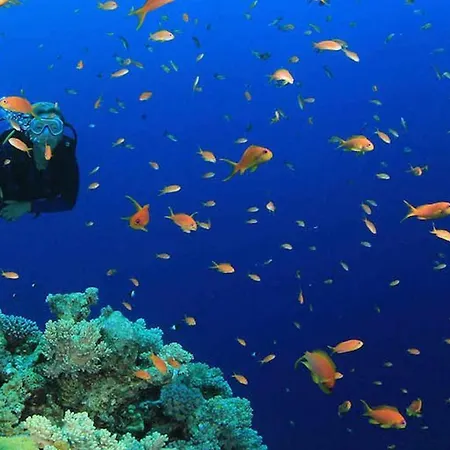 Lo Spioncino Otranto