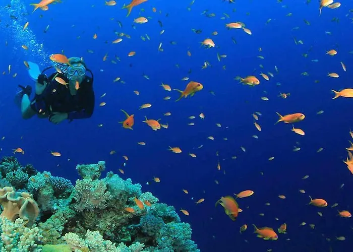 Lo Spioncino Otranto